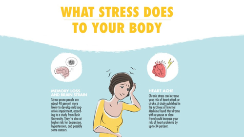 Stress on the Body