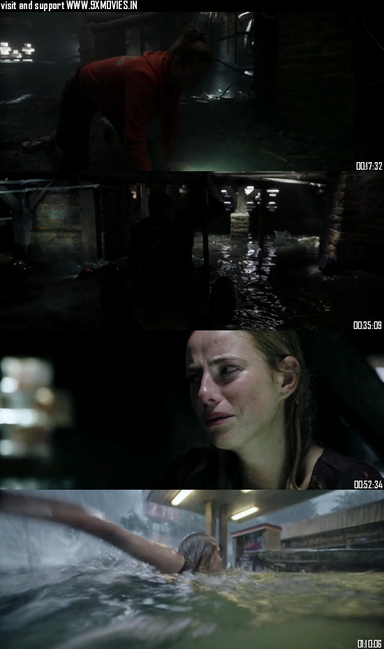 Crawl 2019 Dual Audio Hindi 480p BluRay 280mb Crawl 2019 Dual Audio Hindi 480p BluRay 280mb