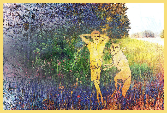 Cover art for short story, a boy and a coyote in a meadow, digital art