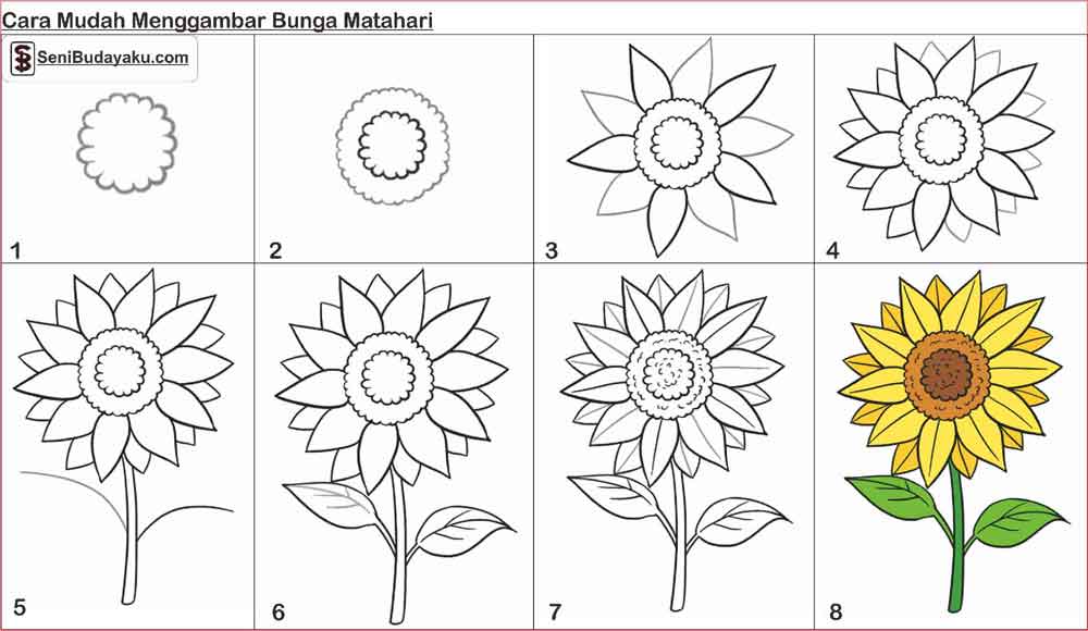 30 Gambar Sketsa Bunga Mudah Bunga Matahari Mawar 