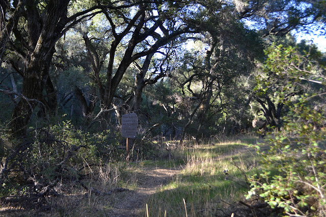 San Mateo Canyon Wilderness sign under the spreading oaks