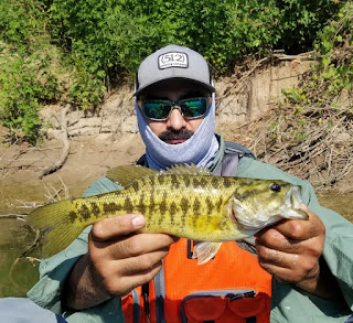 Fish Spotlight, Marco Escamilla, Guadalupe Bass, Guadzilla, Fly Fishing for Guadalupe Bass, Guadalupe Bass Fly Fishing, Guadalupe Bass on the Fly, Texas Freshwater Fly Fishing, TFFF, Fly Fishing Texas, Texas Fly Fishing, Pat Kellner