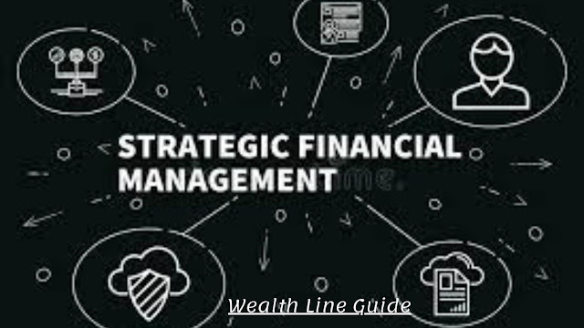 Strategic Financial Management2