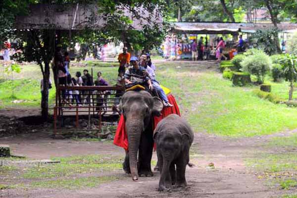 foto taman satwa taru jurug