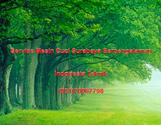 Tukang Mesin cuci Terpercaya Indonesia Teknik