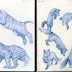 Blue Pencils Animal Drawing Studies