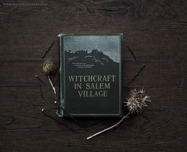 "Witchcraft in Salem Village" by Winfield S. Nevins