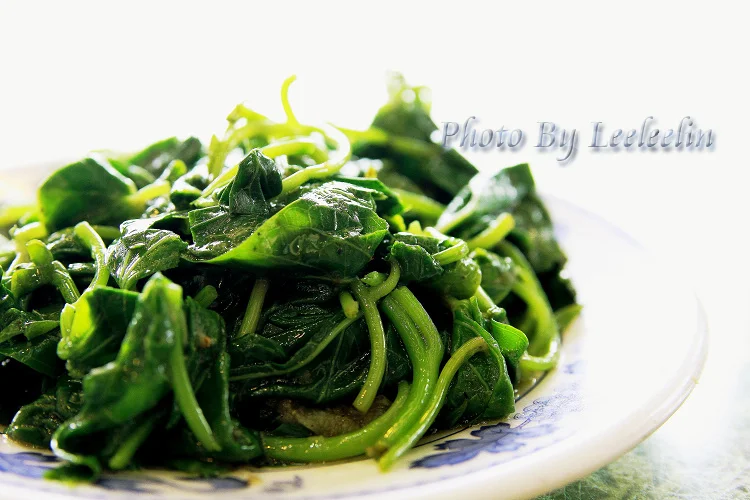 [台中非凡大探索美食推薦] 大慶麵店