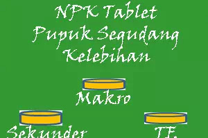 Yuk Intip Segudang Kelebihan Pupuk Npk Tablet Untuk Tanaman Anda