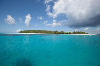 Picture Of The Beautiful Island Of Zanzibar