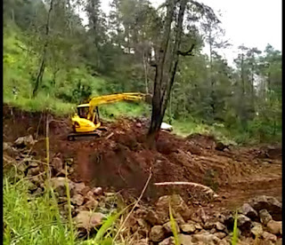 Viral Pengrusakan Hutan Lawu. LAPAAN RI: Ada Konspirasi Jahat, Segera Usut Tuntas!