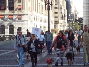 Cãonhecendo 9 (2_1) (27)