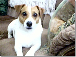 obie1