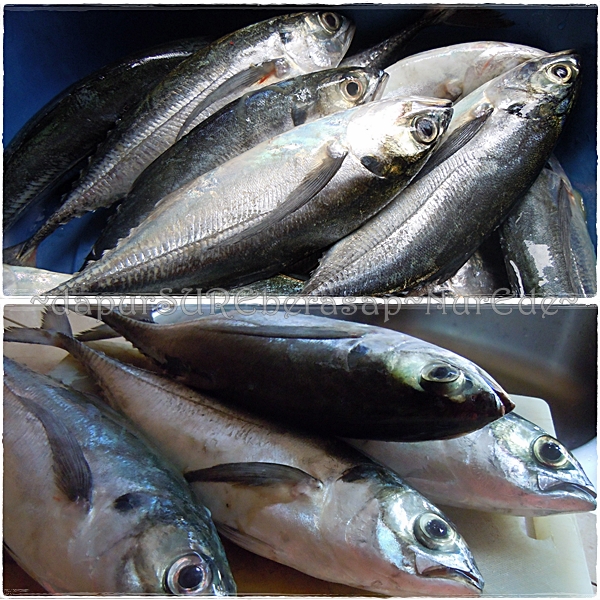 DapurSUREberasap: Masak Lemak Ikan Jeket ke