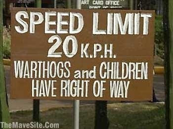 Right of way for warthogs and children