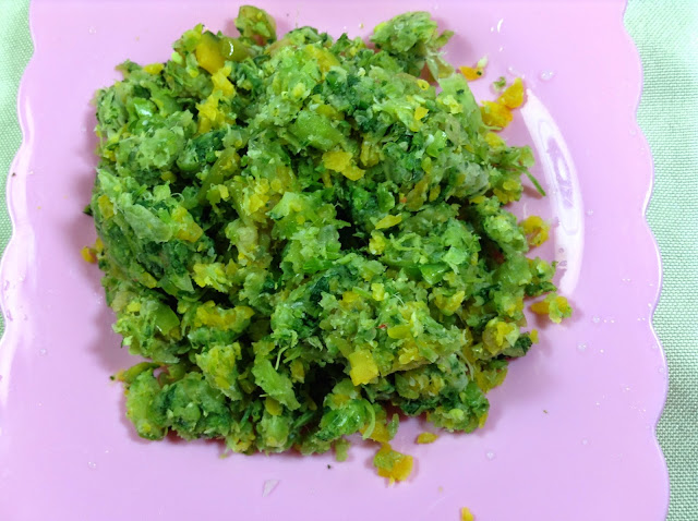 Vegetable pulp from spinach, celery, pumpkin and apple