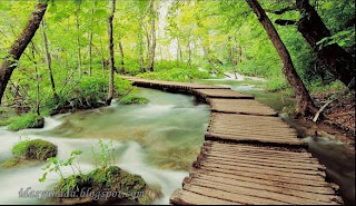 Plitvice Lakes, Croatia