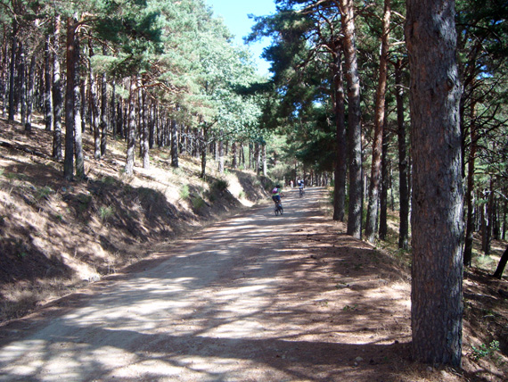 Nuestra ruta de Madrid a la Morcuera y Canencia. Septiembre 2012