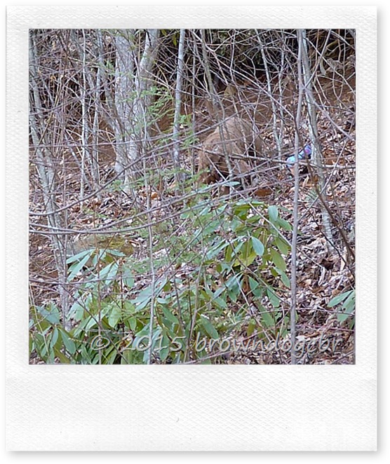 P1510057