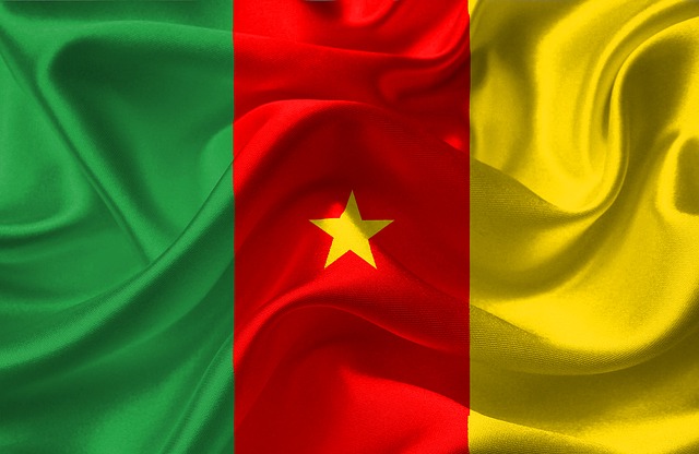 Profil negara Kamerun