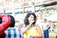 Salman Khan and Genelia D'Souza 