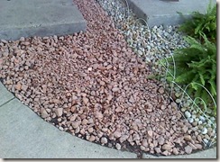 garden13