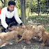 Singa lahir 5 anak di Zoo Taiping