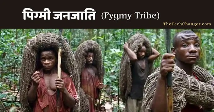 कांगो बेसिन की 'पिग्मी जनजाति' के बारे में पूरी जानकारी | Pygmy Janjati in Hindi