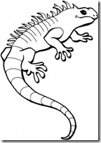 iguana blogcolorear (11)