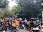 [HotNews] Pohon Tumbang Halangi Jalan, Seorang Pelintas Tertimpa