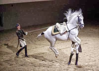 AUSTRIA-CULTURE-EQUESTRIAN-MUSIC