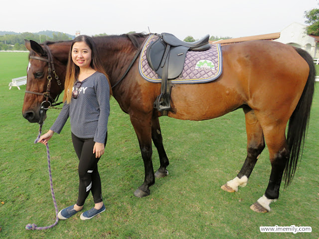 Putrajaya Equestrian Park