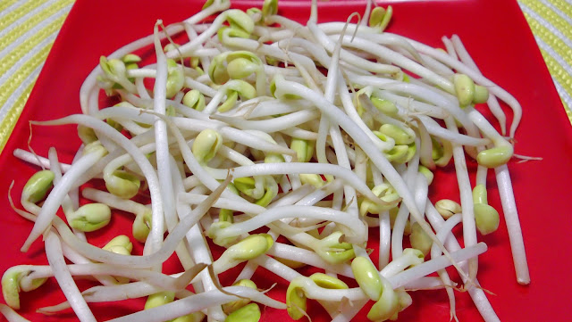 Soybean sprouts