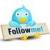 Follow us on Twitter!