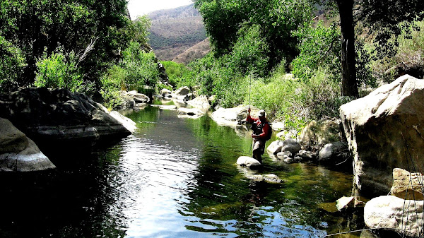 Lake Piru Fishing Report