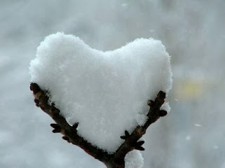 el amor en la naturaleza 