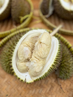 Bedino Duren Pusat Durian Premium di Jogja