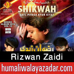 http://www.humaliwalayazadar.com/2012/10/rizwan-zaidi-nohay-2003-2013.html