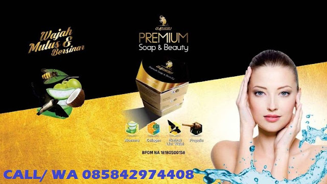 http://sabung4neshpremium.blogspot.com/2018/10/sabun-ganesh-premium-soap-beauty-dengan.html