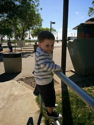 cell pics 054