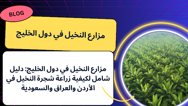 مزارع النخيل في دول الخليج: دليل شامل لكيفية زراعة شجرة النخيل في الأردن والعراق والسعودية