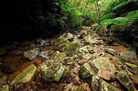 wide angle view,rocks and jungle,stream leading to waterfall