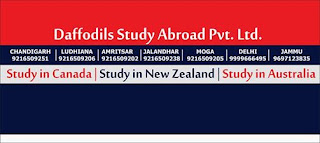  Top Study Visa Consultant, Agent in Moga Punjab