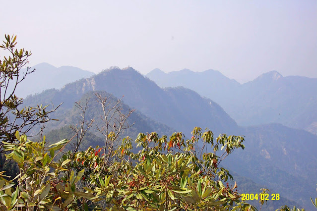 屋我尾山展望東卯山