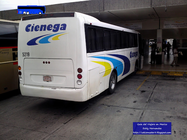 Autobuses Cienega