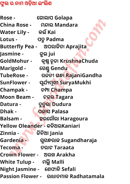 Flowers name in Odia And English fula name in Englsih all flowers name