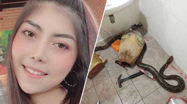 'Fobia nak guna tandas' - Wanita dipatuk ular ketika menggunakan tandas duduk