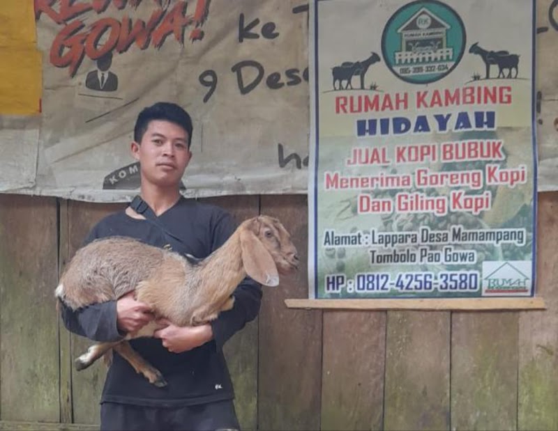 Punya Acara dan Butuh Kambing Langsung Hubungi Tim Pemasaran Rumah Kambing