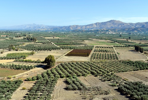 La Grecia chiederà esenzioni dai nuovi dazi statunitensi sui prodotti agricoli