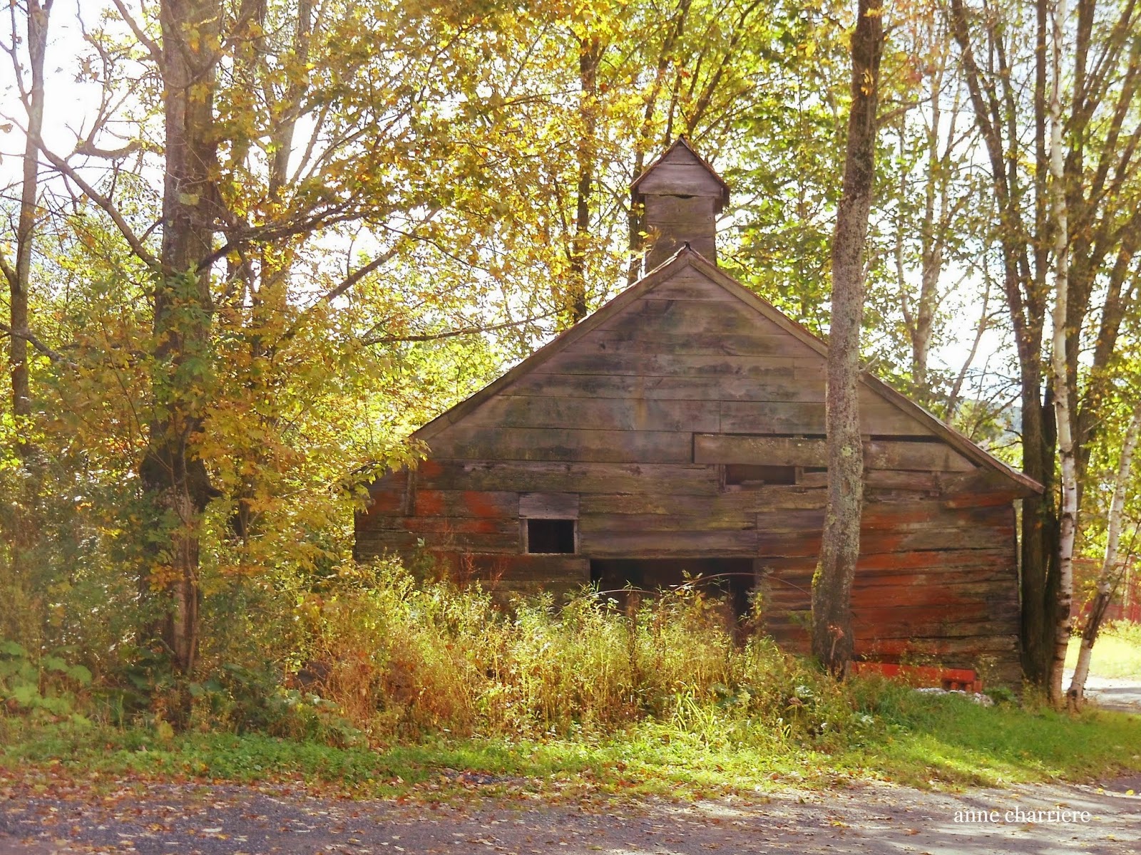 annecharriere.com, fall foliage, leaf color,